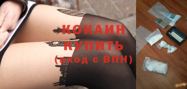 ГАЛЛЮЦИНОГЕННЫЕ ГРИБЫ Белокуриха