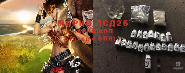 ГАЛЛЮЦИНОГЕННЫЕ ГРИБЫ Белокуриха