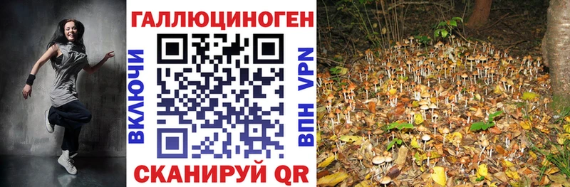 Псилоцибиновые грибы прущие грибы  что такое наркотик  Железноводск 